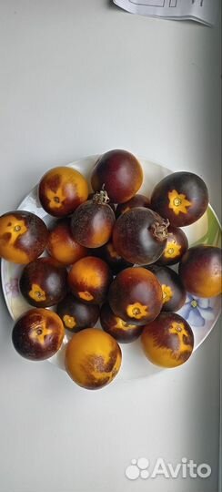 Семена сортового томата Бархатная Катя в желтом