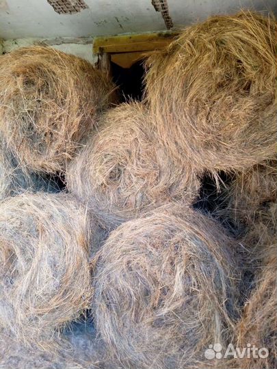 Продам сено в рулонах