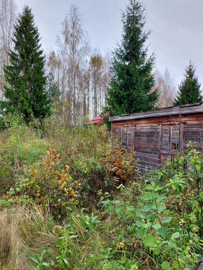 Участок 10 сот. (СНТ, ДНП)