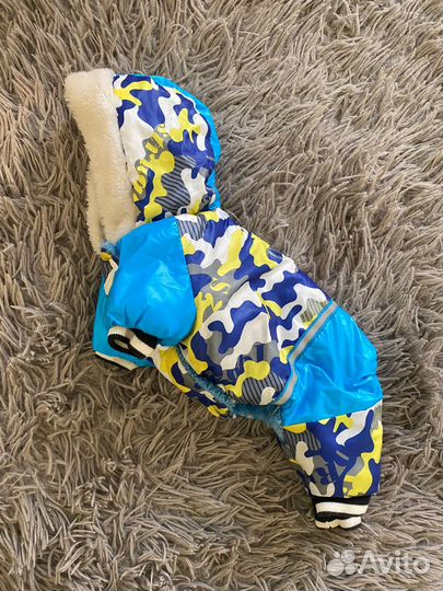 Одежда для маленьких собак xs