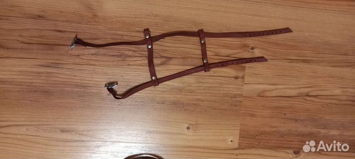 Поводок, ошейник, шлейки