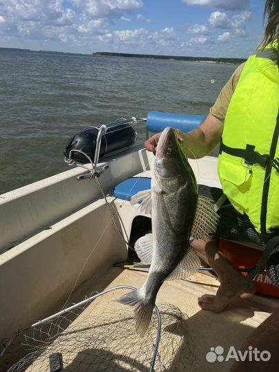 Продам Yamaha Fish 20