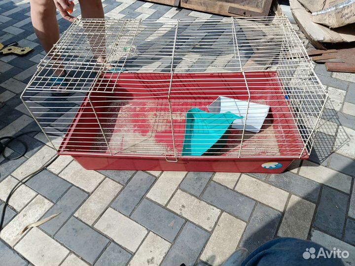 Клетка для грызунов бу