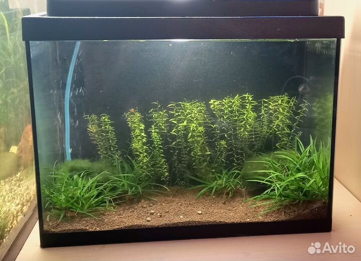 Аквариум
