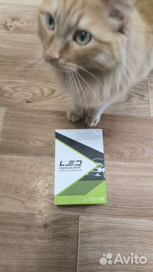 Диодные лампы hb3