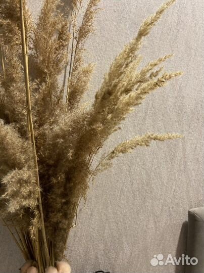 Букет из сухоцветов
