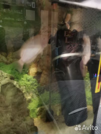 Аквариум с рыбами