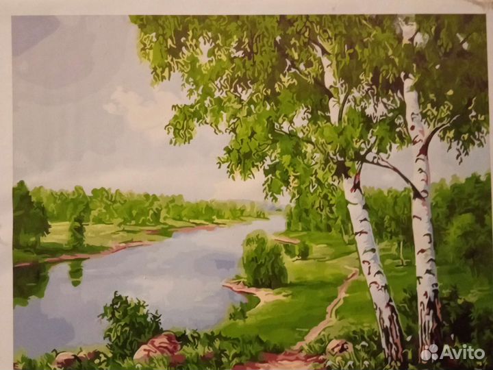 Картина по номерам новая Берёзки летний лес