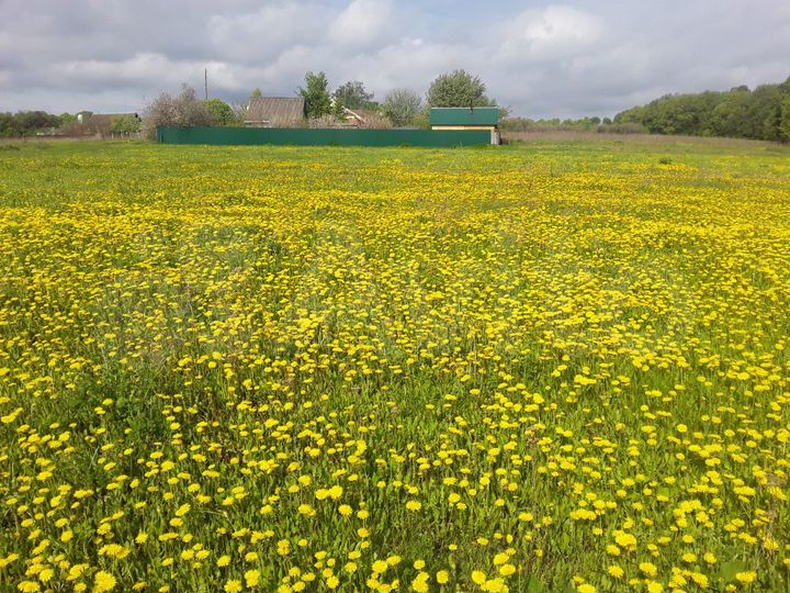 Участок 21 сот. (ИЖС)