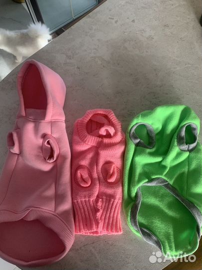 Одежда для собачек