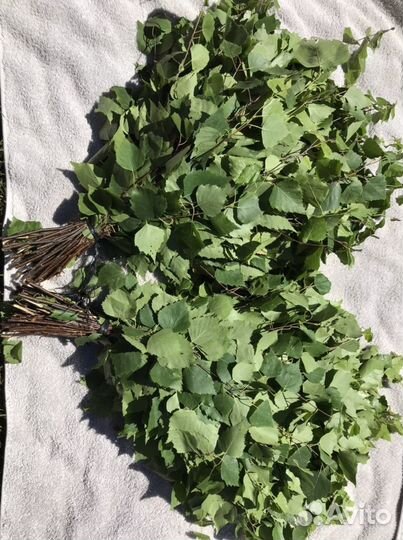 Веники дуб, берёза