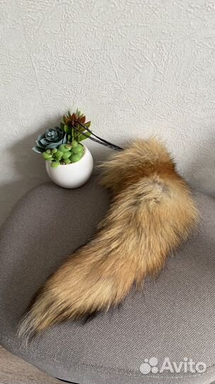 Лисий хвост