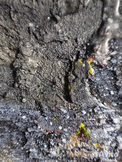 Интерьерная картина текстурная