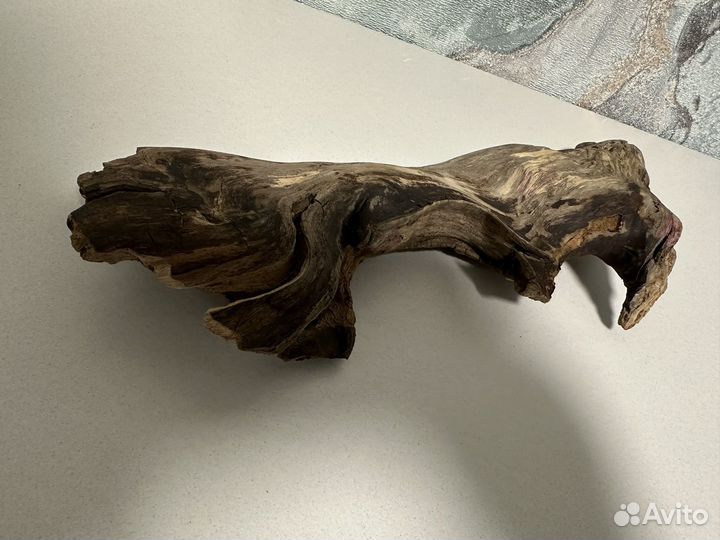 Коряги для террариума