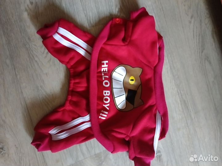 Комбинезон и толстовка для собак