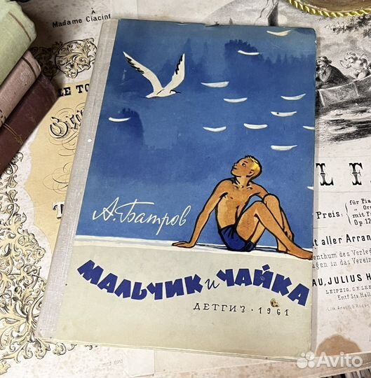 Мальчик и чайка Детгиз 1961г Батров А. М