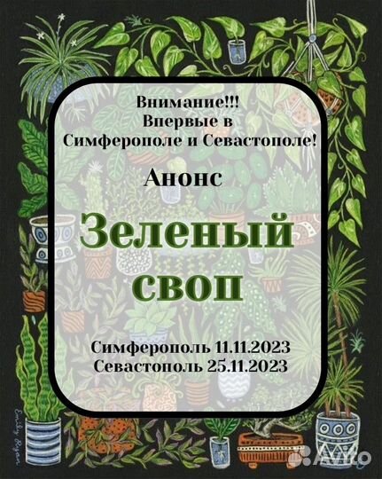 Комнатные растения цветы