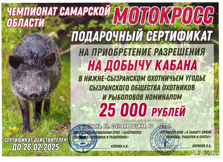 Охота на кабана