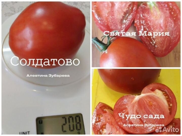 Семена сортовых томатов