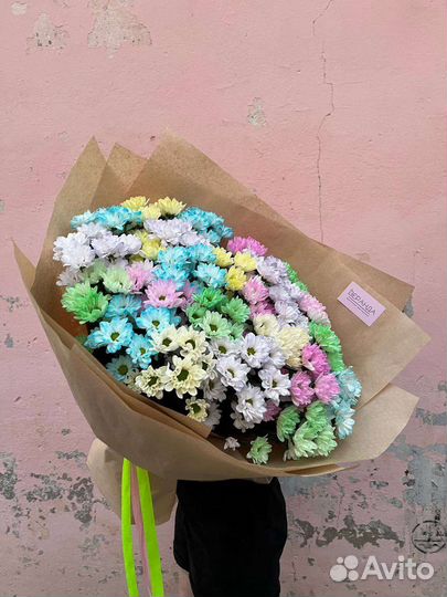 Ромашки. Хризантема ромашковидная