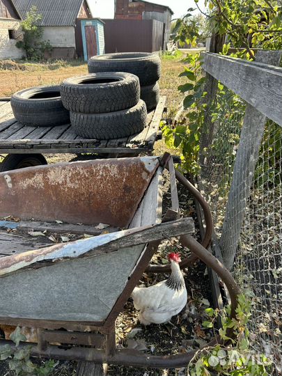 Телега и сани для Лошади