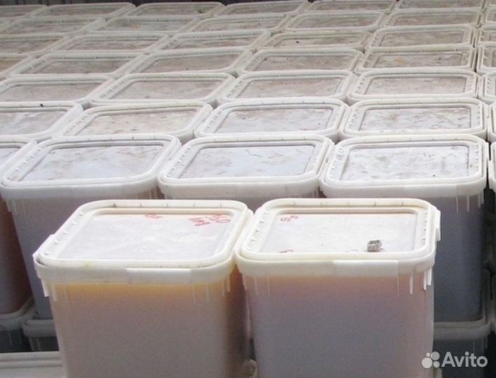 Эспарцетовый мед оптом