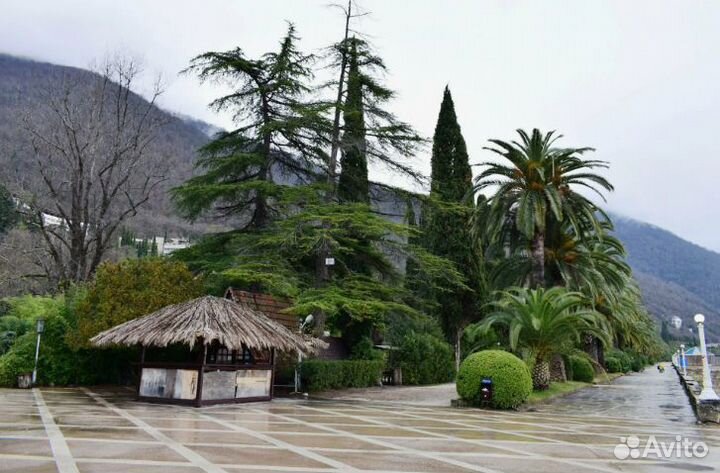 Путевка в Гагру 7 нч перелет+прожив