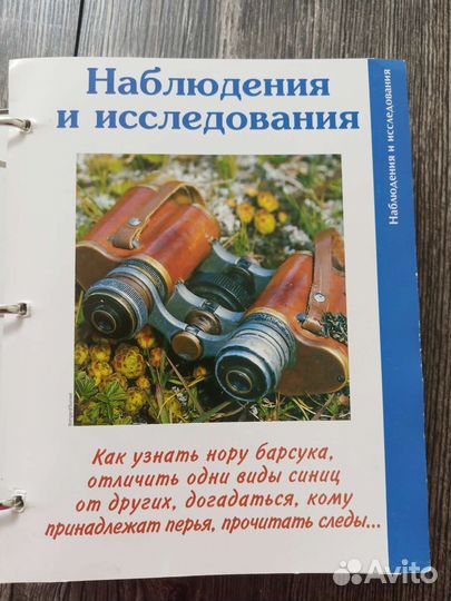Книга энциклопедия Тайны леса