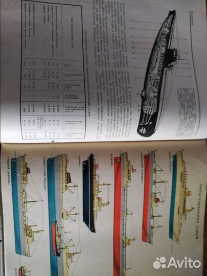 Энциклопедия детская