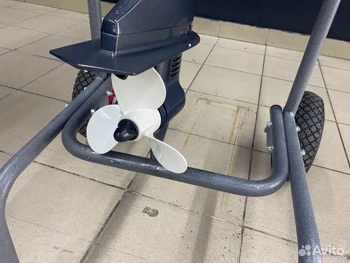 Лодочный мотор Tarpon (Тарпон) T5S