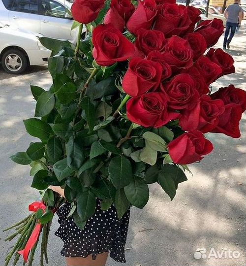 Розы Букеты Цветы Розы 31 101 151 201 Доставка