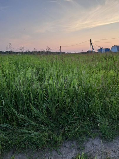 Участок 10 сот. (СНТ, ДНП)