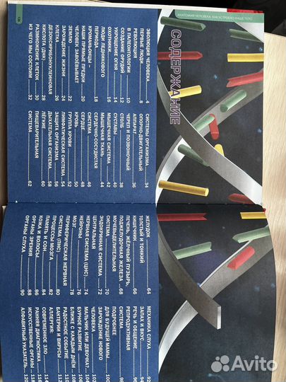 Энциклопедия для детей