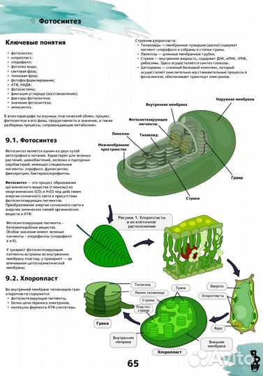 Лекции по биологии для подготовки к ОГЭ ЕГЭ