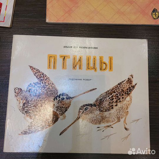 Книжки-развивашки