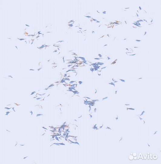 Виниловые пластинки и кассеты