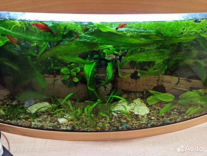 Аквариум на 106 литров