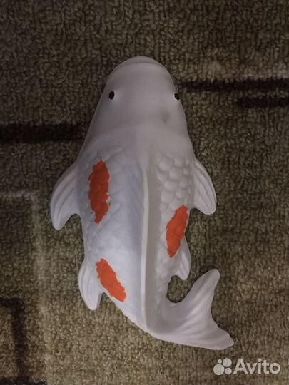 Декоративный карп