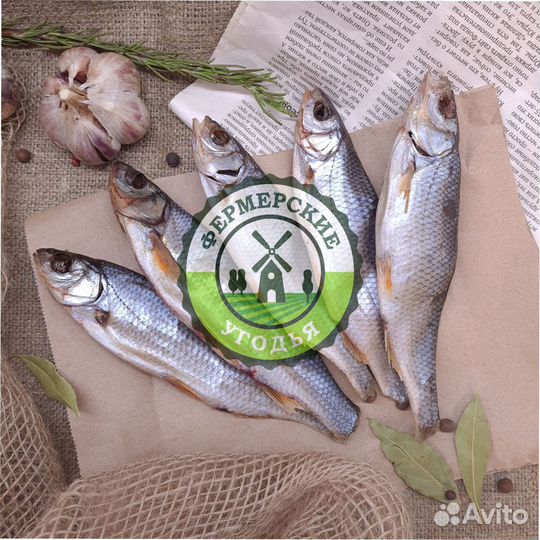 Рыба северная Язь Щука Щекур Мохтик Лещ Сырок