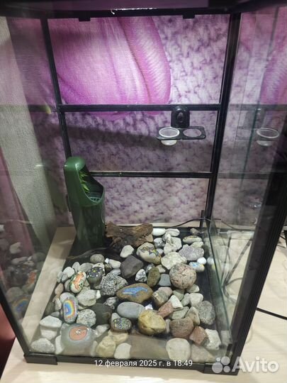 Террариум для хамелеона бу