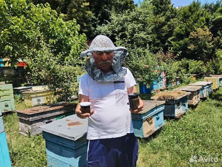 Медовый глистогон