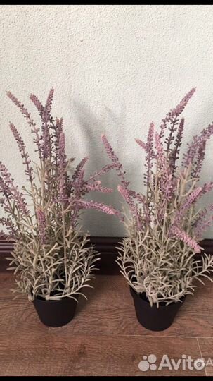 Фейк Лаванда IKEA