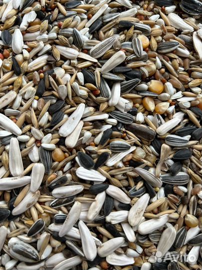 Корм для крупных попугаев