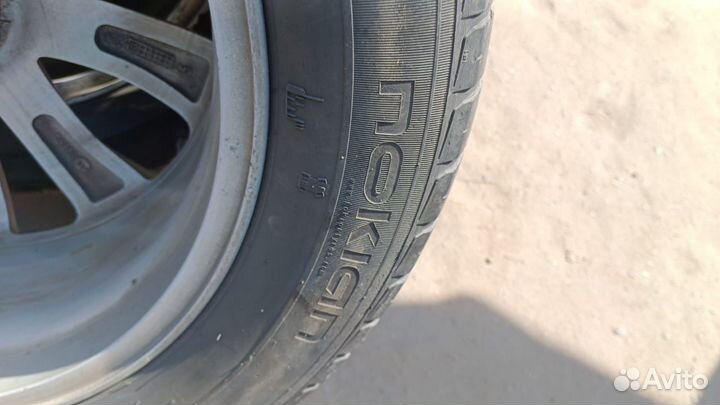 Blackhawk Ice Prey HW06 23.5/55 R19