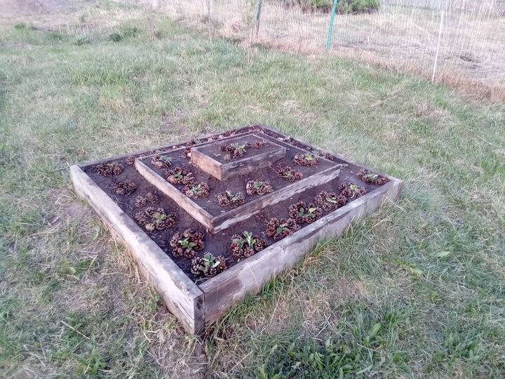 Дом 36 м² на участке 30 сот.