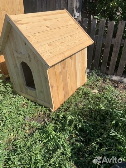 Собачья будка