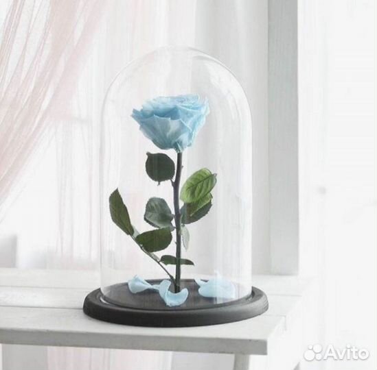 Роза в колбе. Любые размеры