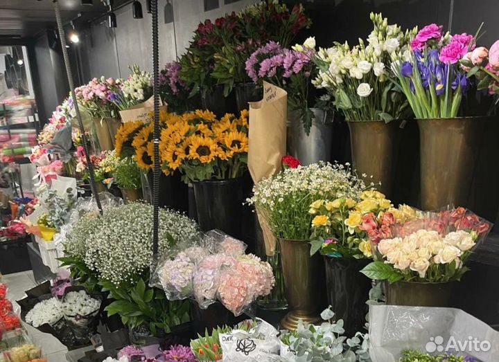 Пионы опт розница