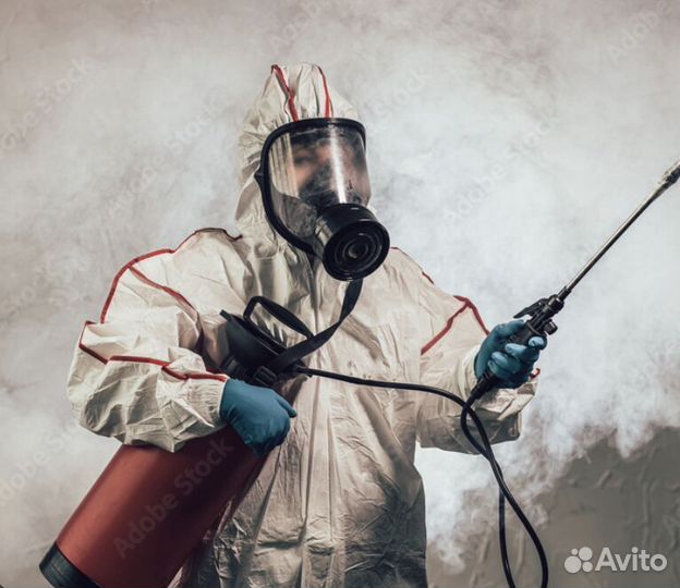 Дезинсектор с ежедневной оплатой