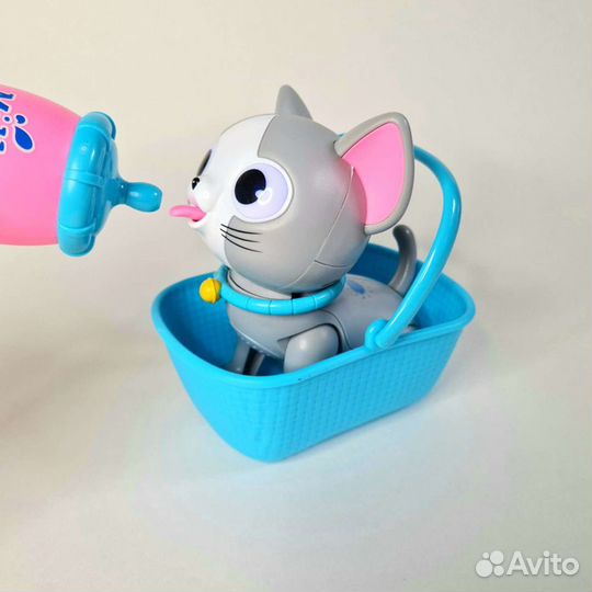 Непослушный маленький питомец Котенок